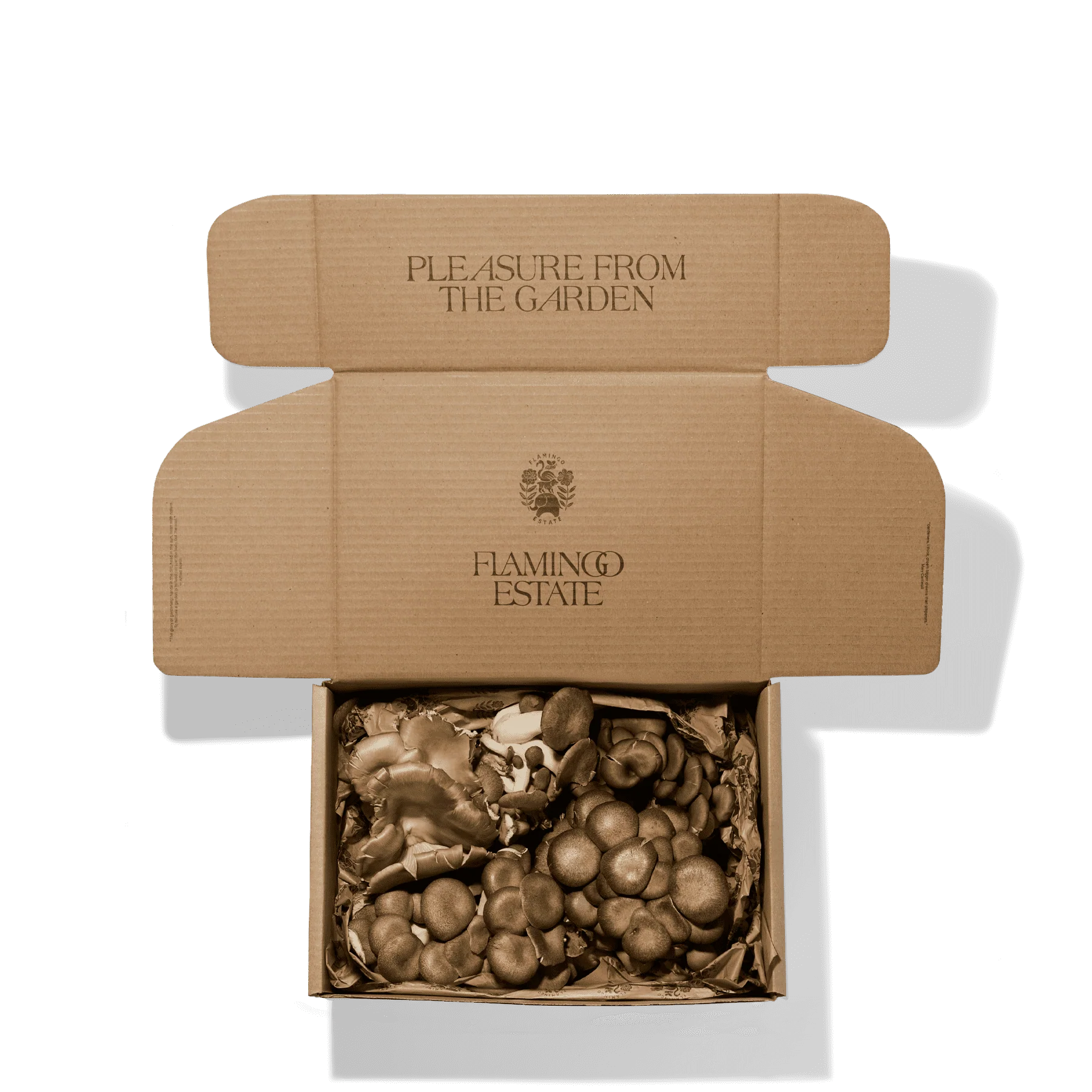 Organic Artisanal Mushroom Box - Image 3