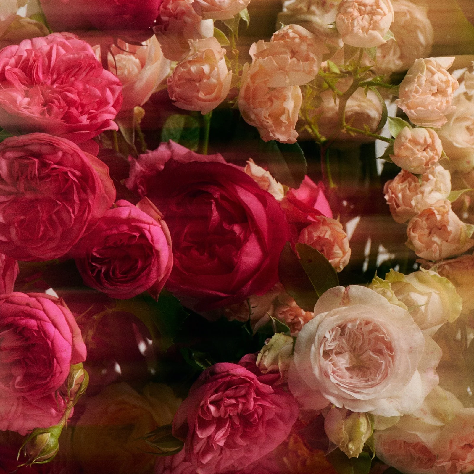 Jasmine Damask Rose Glass Hand Soap - Image 4