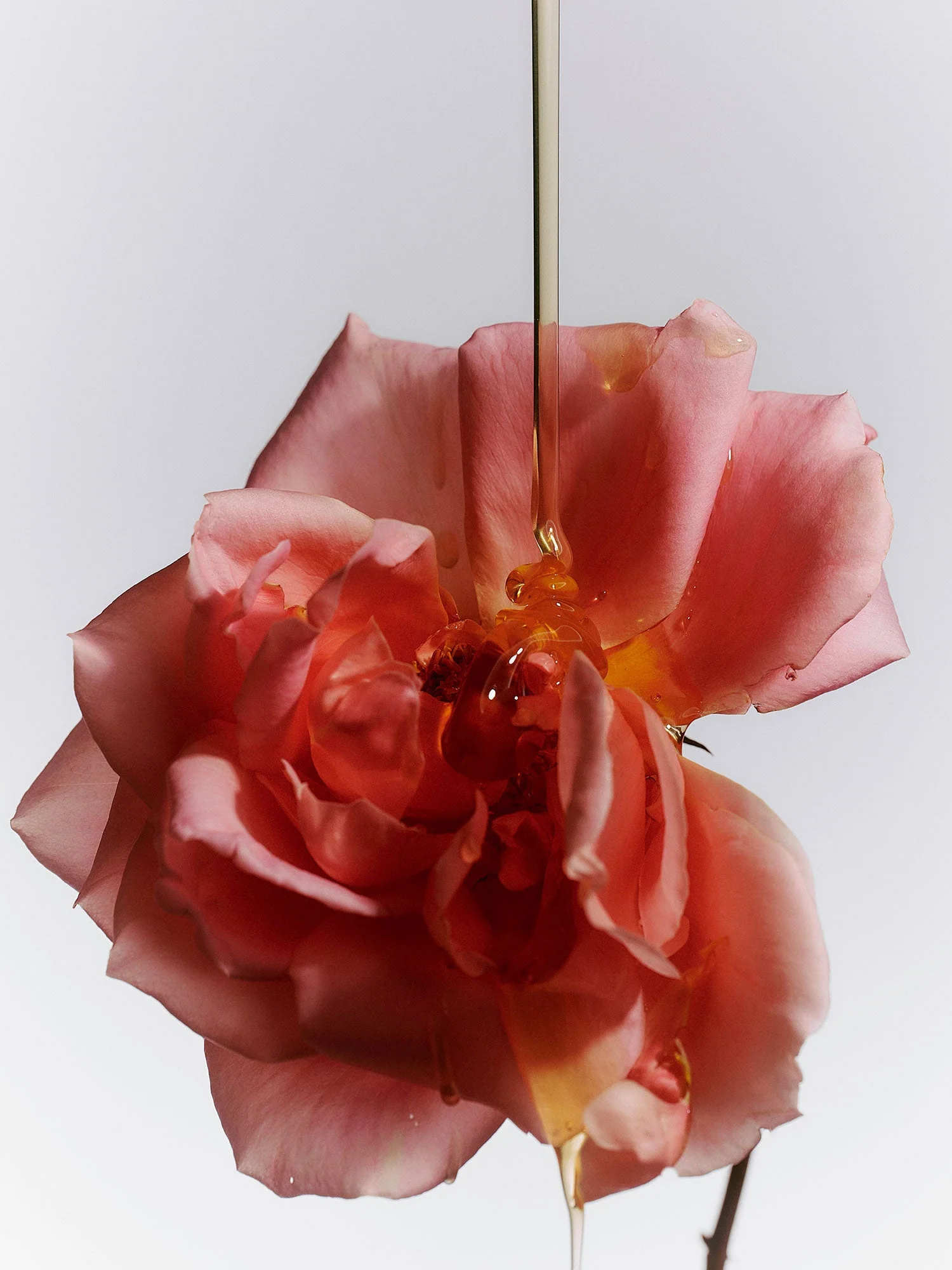 Jasmine Damask Rose Glass Hand Soap - Image 6