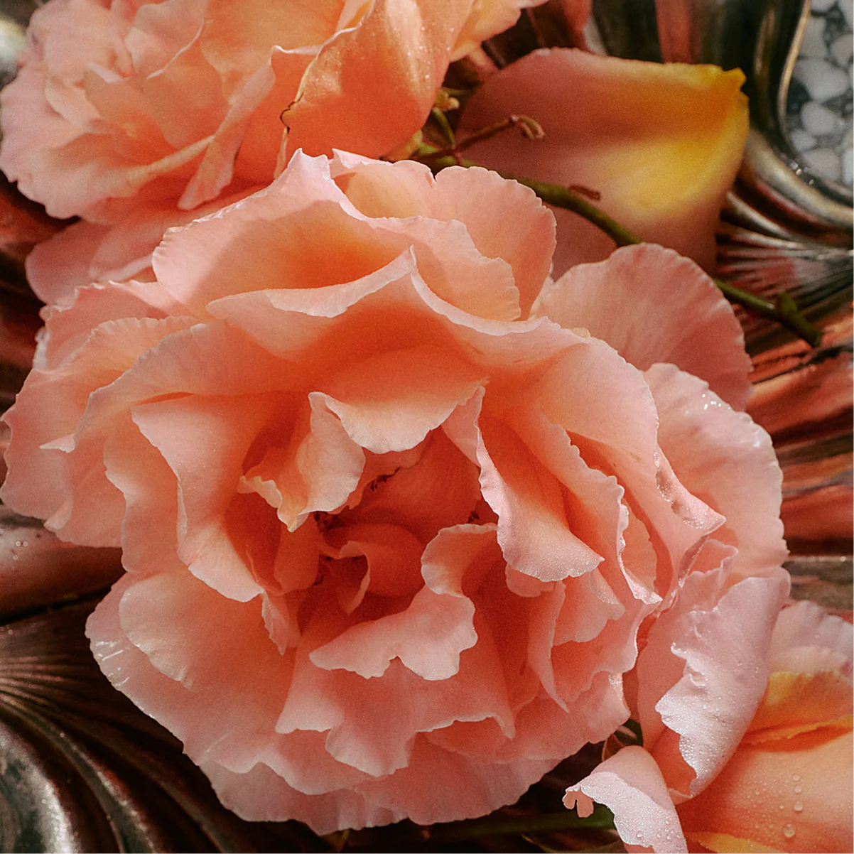 Jasmine Damask Rose Glass Hand Soap - Image 9