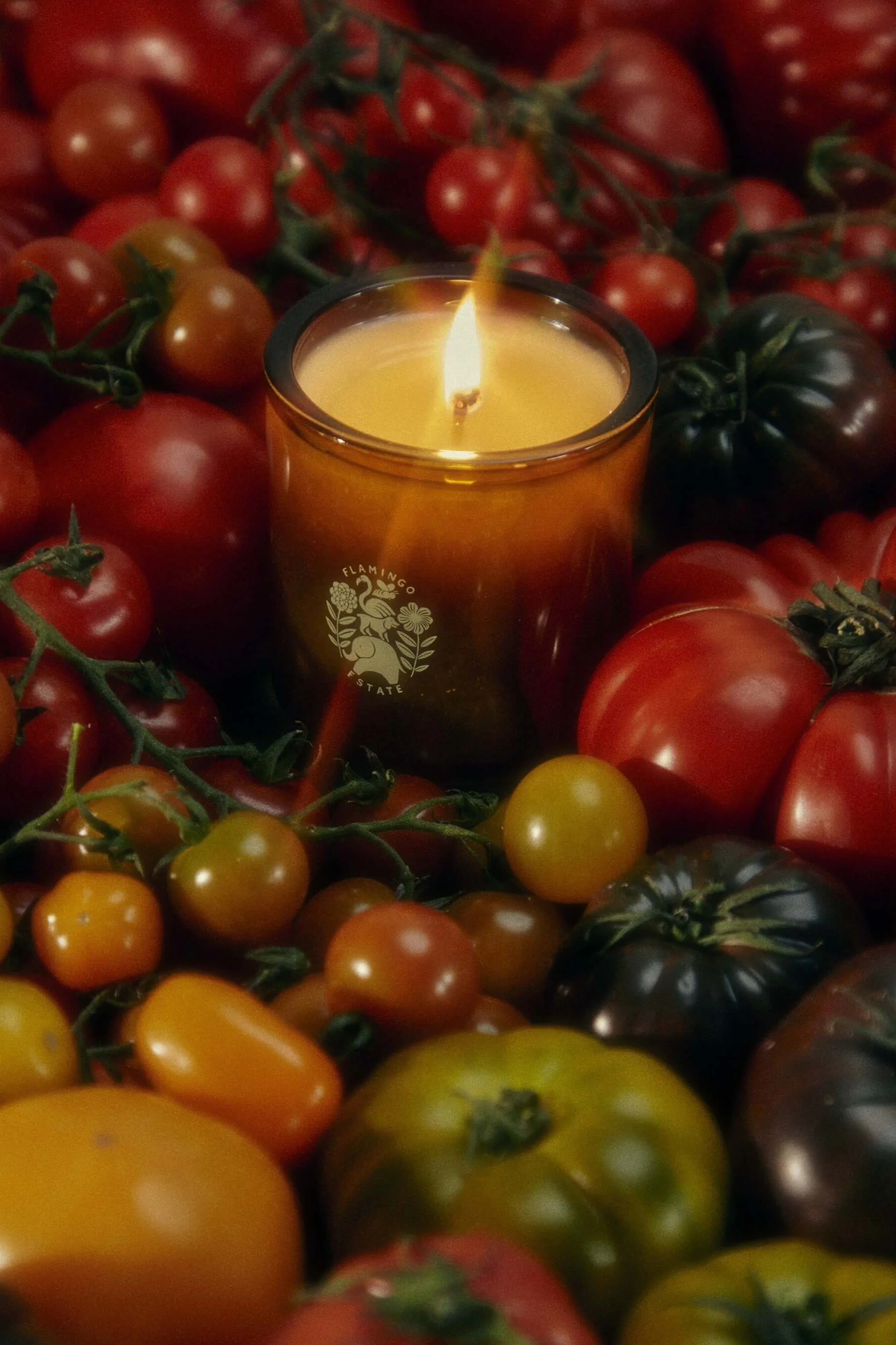 Roma Heirloom Tomato Candle 4oz - Image 4