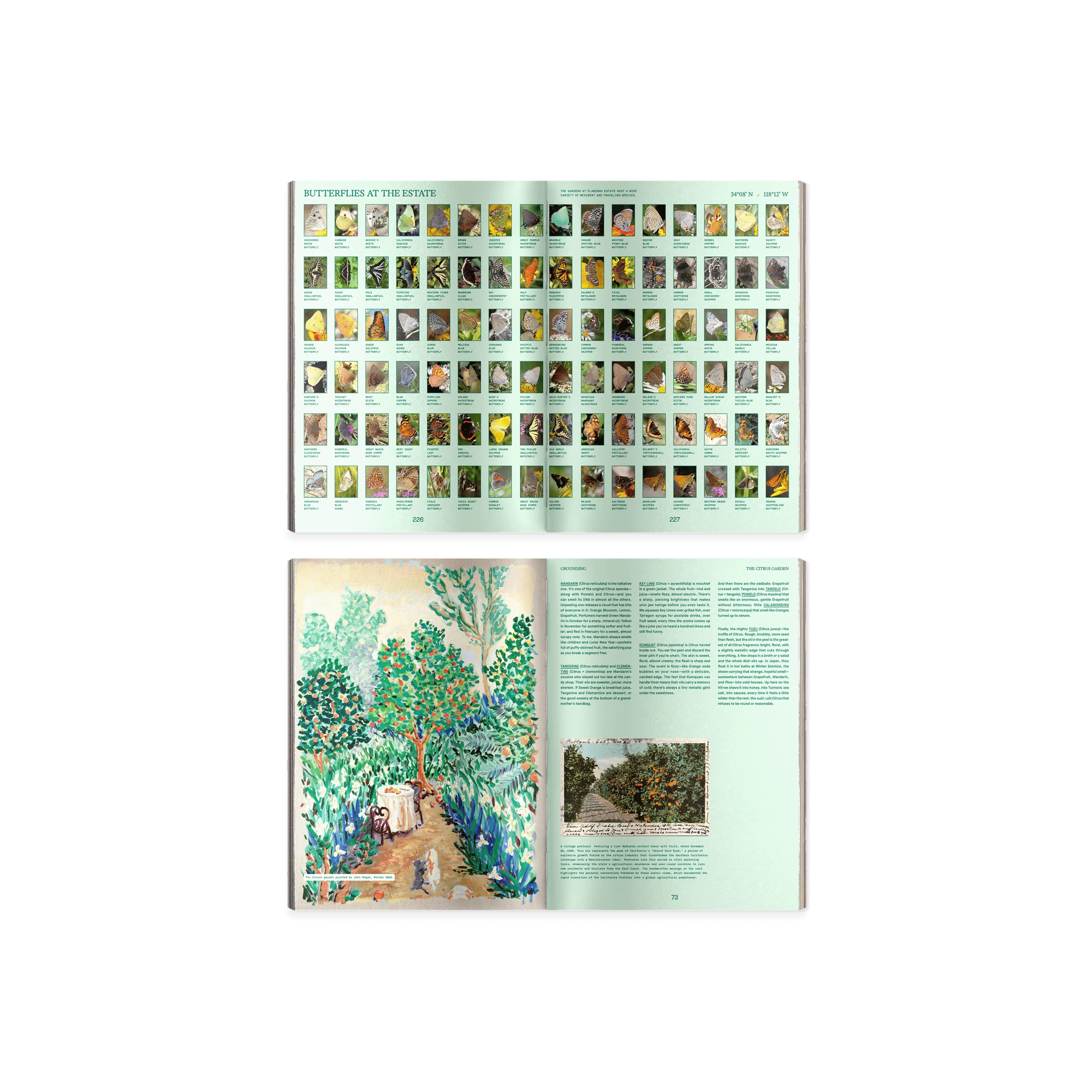 Pleasure Principles: An Almanac from the Garden - Image 6