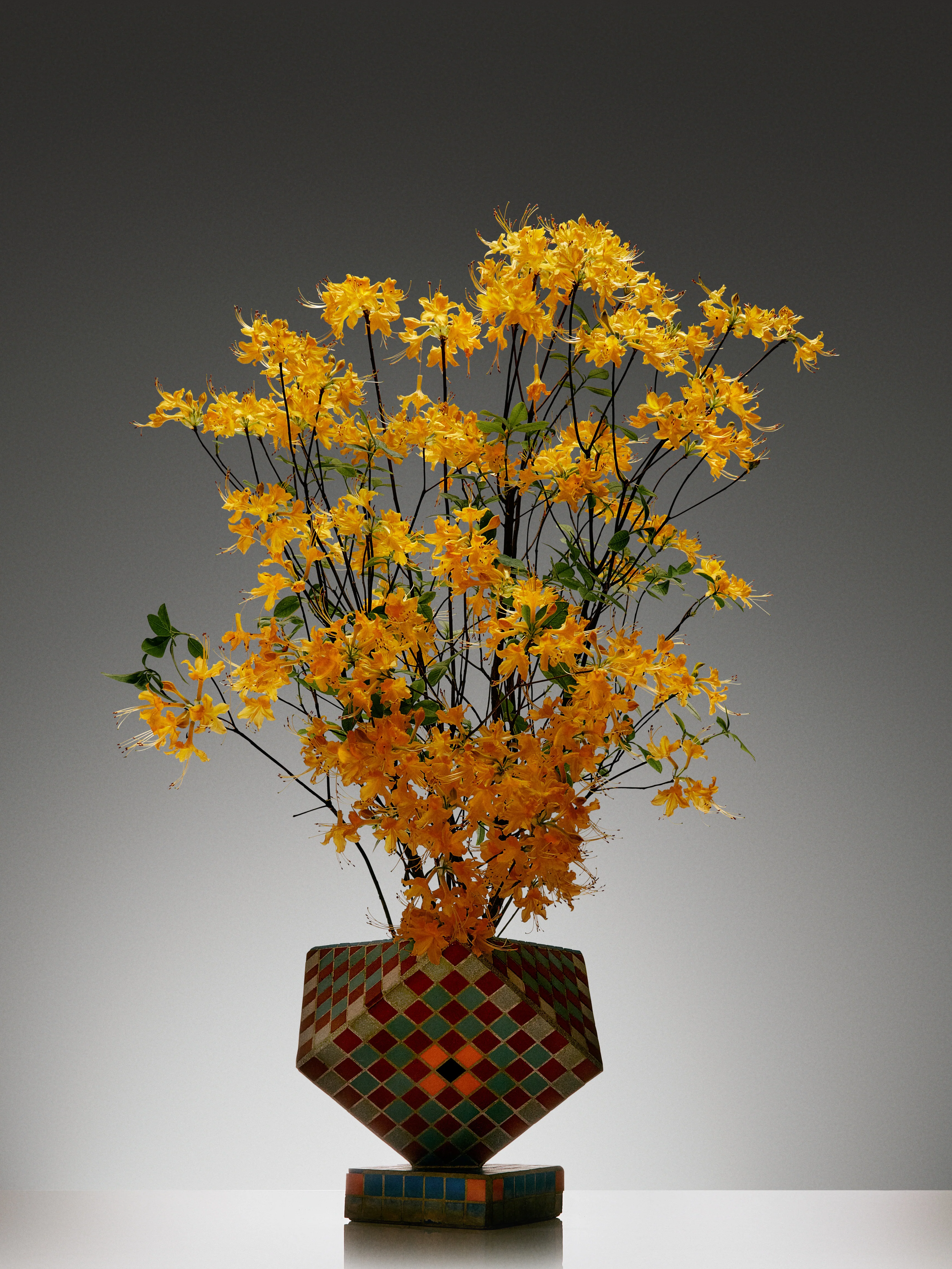 Golden Pollinator Duo - Image 6