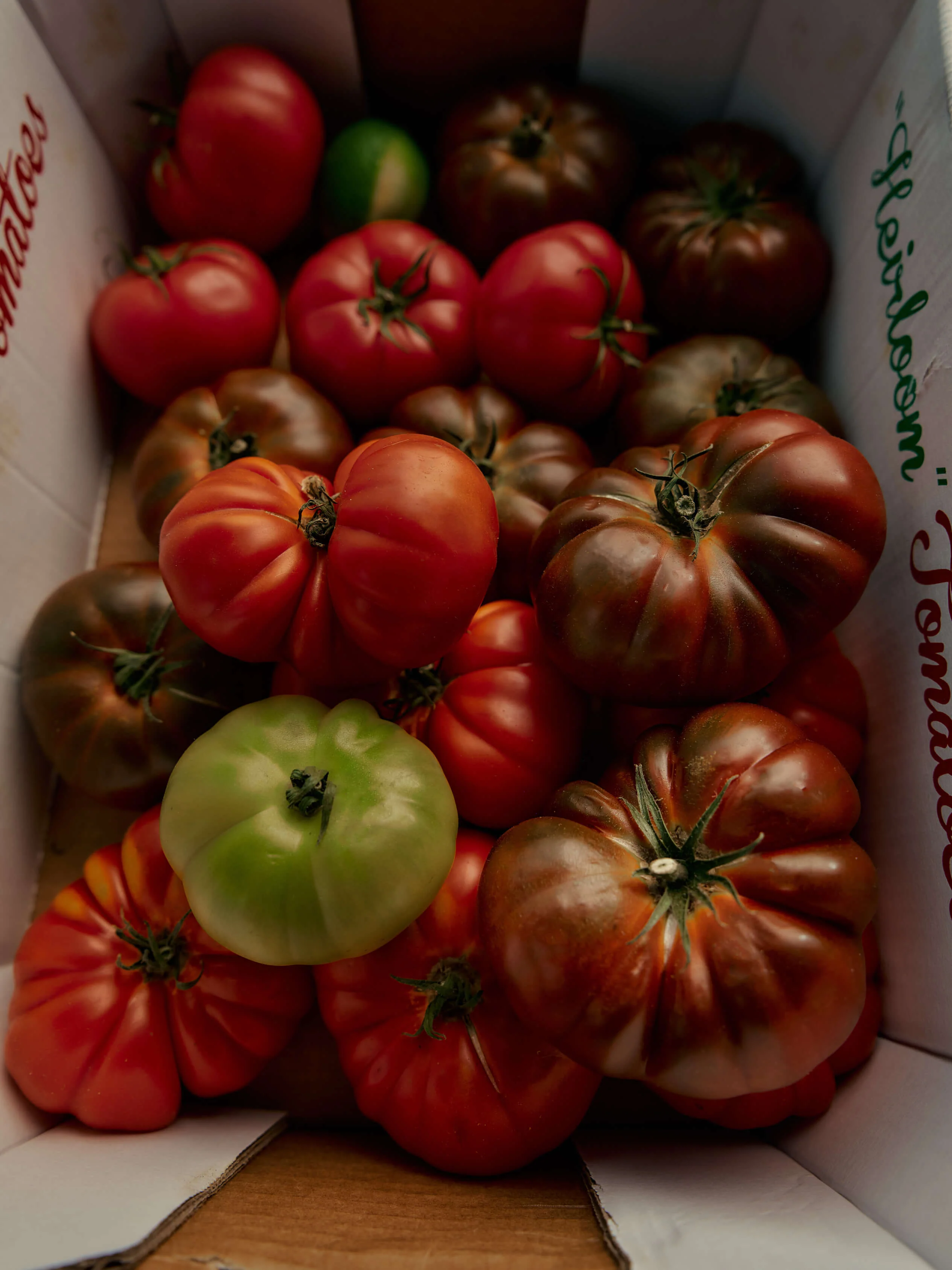 Roma Heirloom Tomato Candle 4oz - Image 2