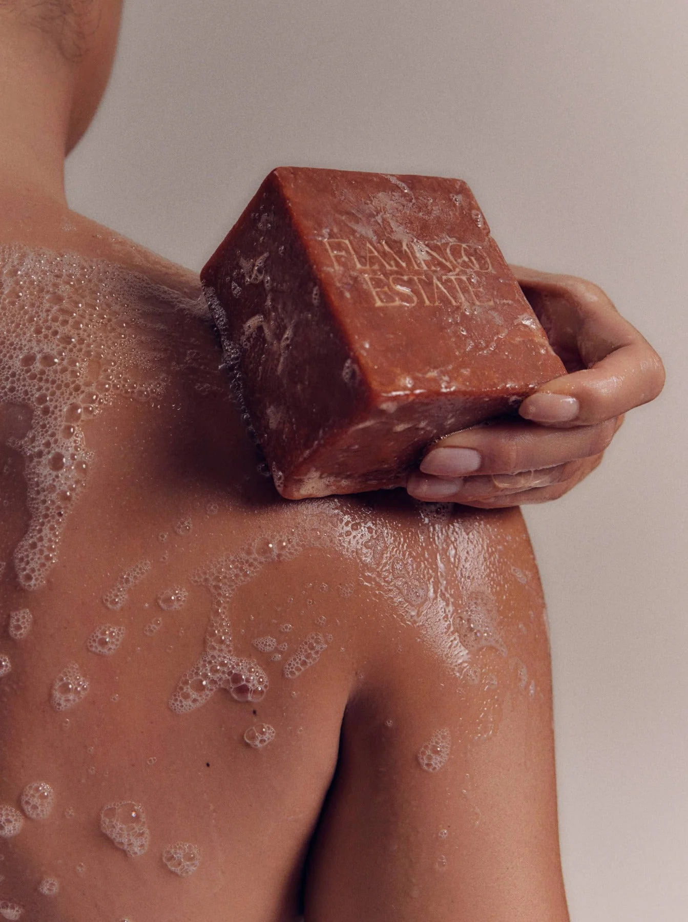Heirloom Tomato Soap Brick - Image 7