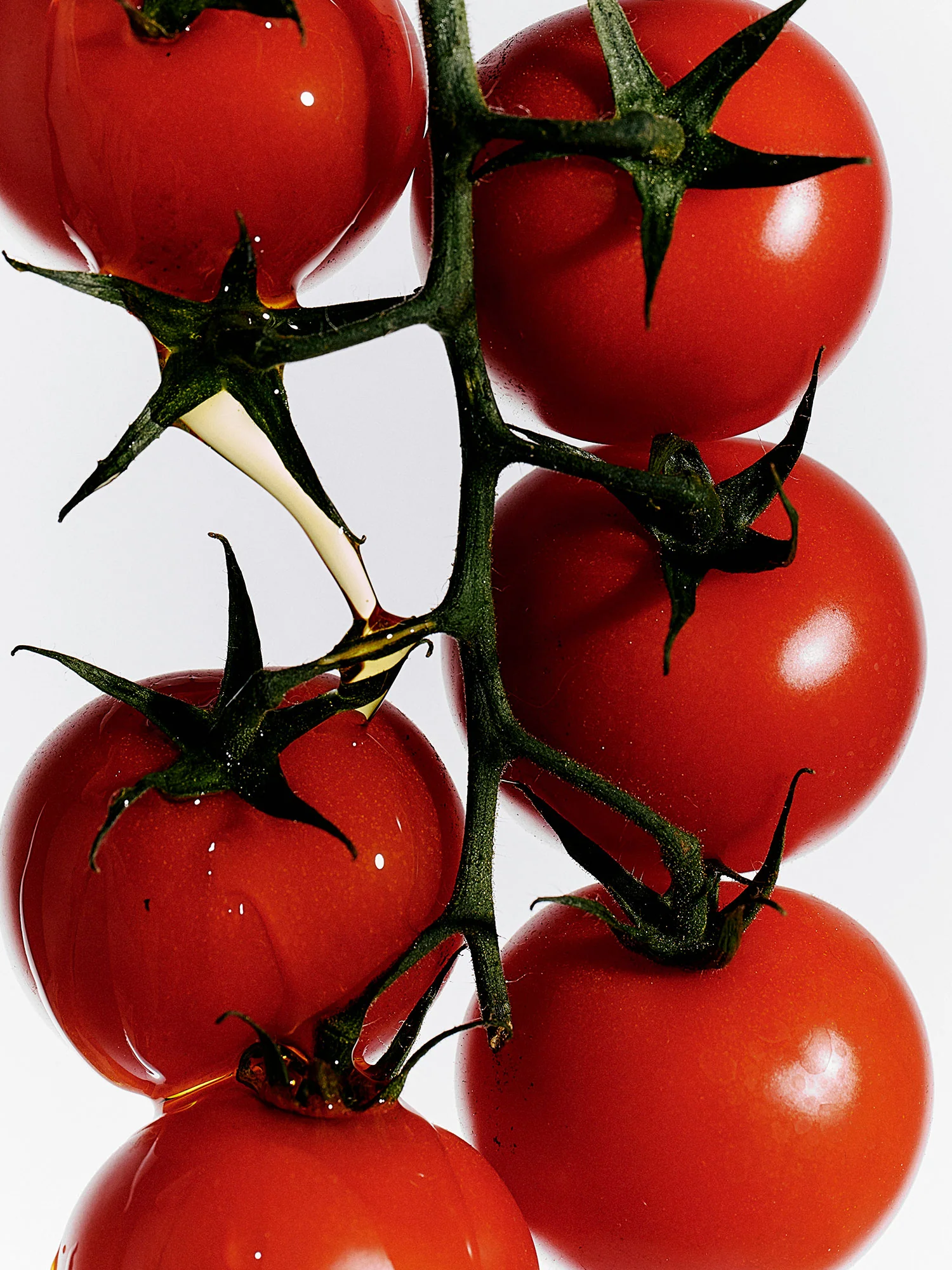 Heirloom Tomato Cleaning Duo - Image 5